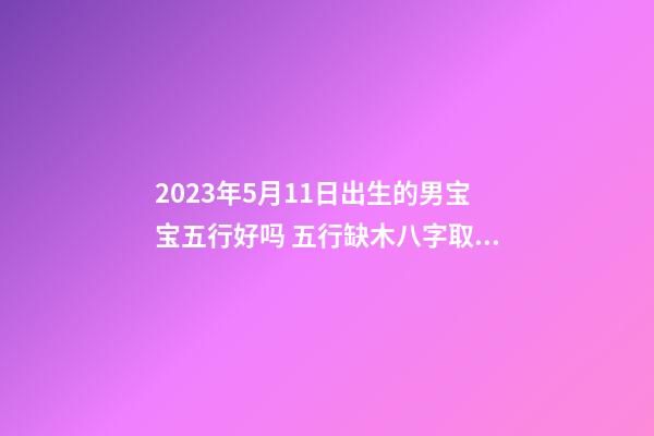 2023年5月11日出生的男宝宝五行好吗 五行缺木八字取名